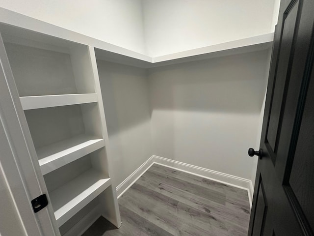 spacious closet featuring hardwood / wood-style flooring