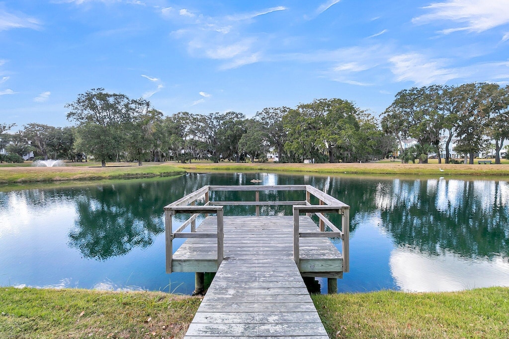 dock area with a water view