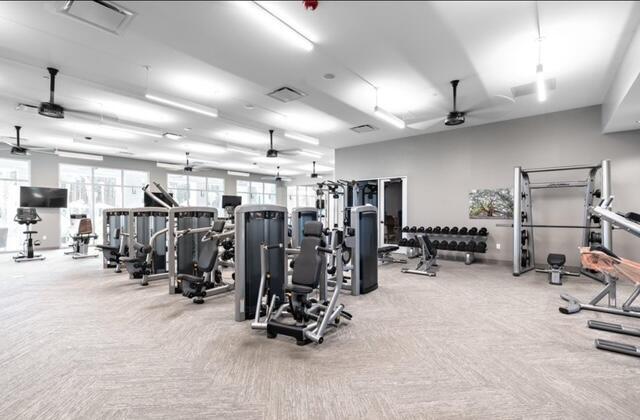 workout area with ceiling fan and light colored carpet