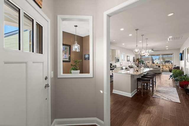 entryway featuring sink and dark wood-type flooring