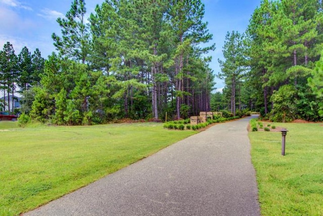 view of home's community with a yard