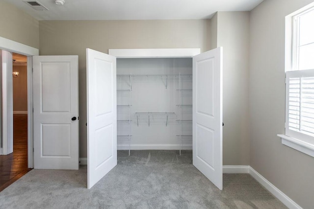 225 Slipper Shell Ct, Mount Pleasant, SC 29464 - view of closet