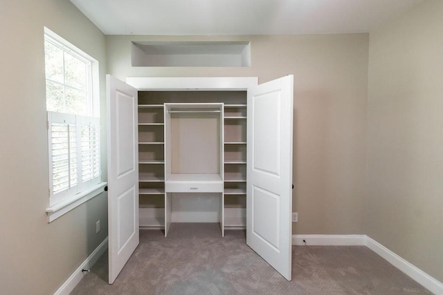 225 Slipper Shell Ct, Mount Pleasant, SC 29464 - view of closet
