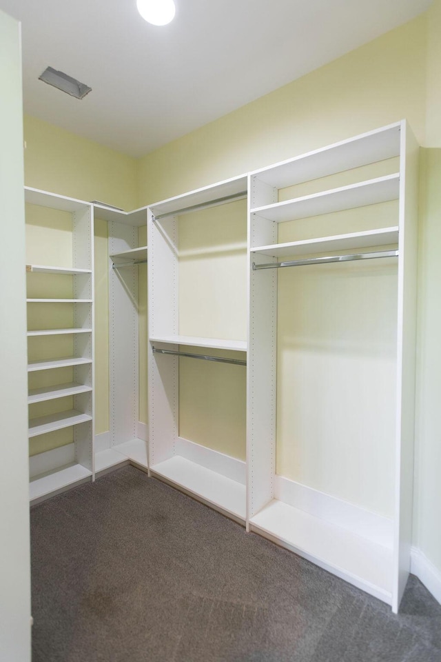 225 Slipper Shell Ct, Mount Pleasant, SC 29464 - walk in closet featuring carpet floors