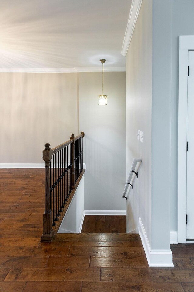 225 Slipper Shell Ct, Mount Pleasant, SC 29464 - stairs with wood-type flooring, ornamental molding, and baseboards