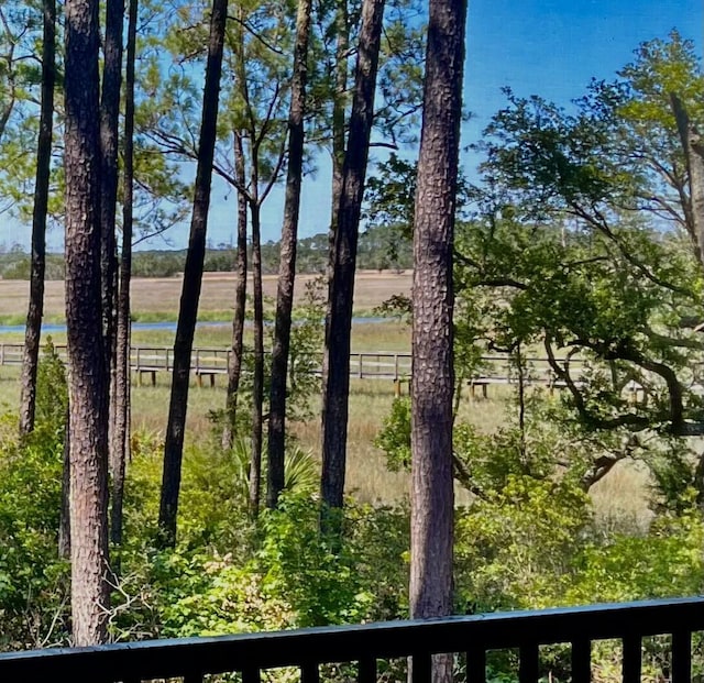 225 Slipper Shell Ct, Mount Pleasant, SC 29464 - water view