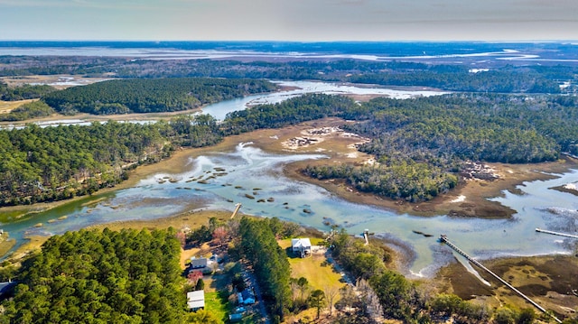 bird's eye view with a wooded view and a water view