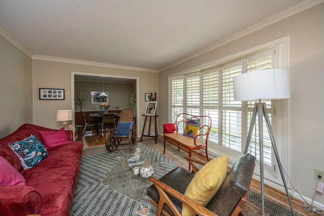 206 Brailsford Rd, Summerville, SC 29485 - living area with baseboards, ornamental molding, wood finished floors, and a textured ceiling