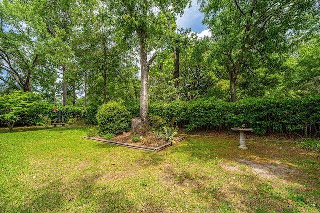 206 Brailsford Rd, Summerville, SC 29485 - view of yard