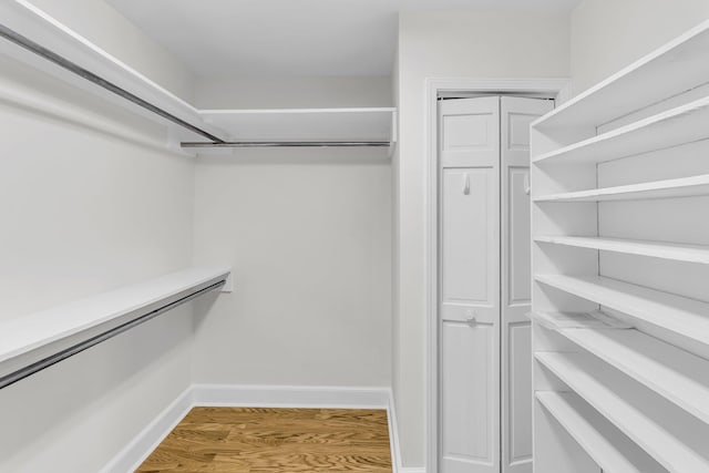 walk in closet featuring wood finished floors