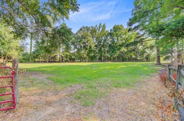 481 Cantey Ln, Camden, SC 29020 - view of yard