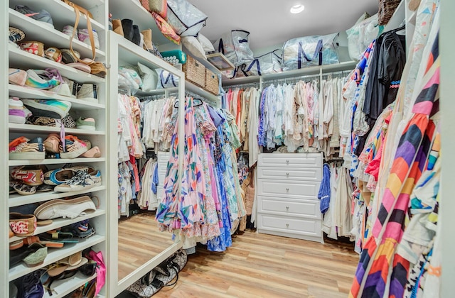 481 Cantey Ln, Camden, SC 29020 - spacious closet featuring wood finished floors