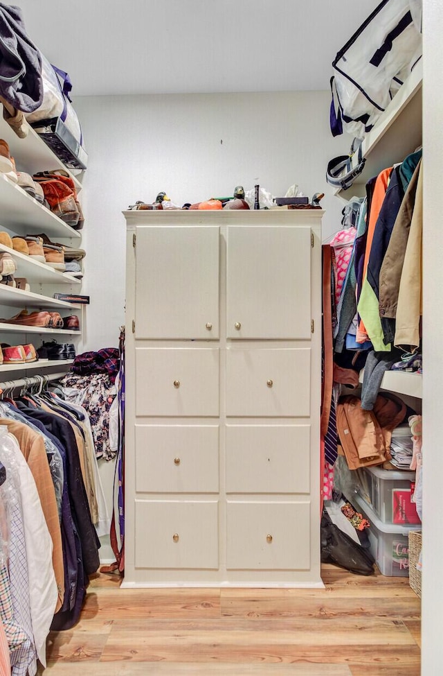 481 Cantey Ln, Camden, SC 29020 - spacious closet featuring light wood-type flooring