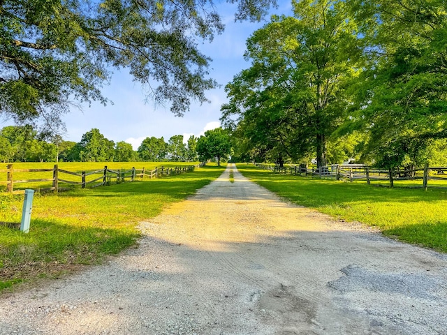 481 Cantey Ln, Camden, SC 29020 - view of community with a view of rural / pastoral area