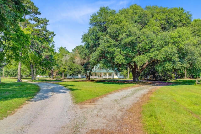 481 Cantey Ln, Camden, SC 29020 - view of community featuring dirt driveway and a lawn
