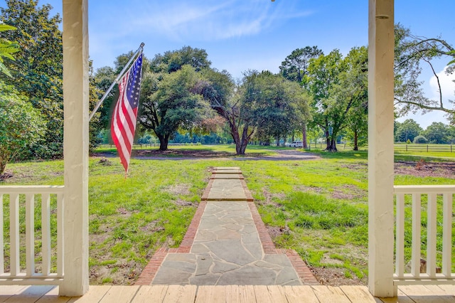 481 Cantey Ln, Camden, SC 29020 - view of green lawn