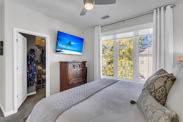 bedroom featuring ceiling fan, a closet, carpet floors, and a spacious closet