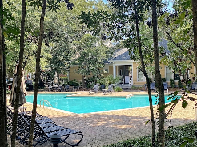 view of swimming pool with a patio area