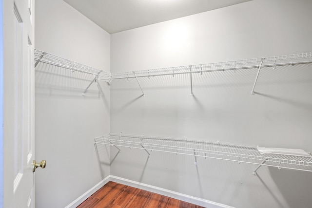 spacious closet featuring dark wood-style floors