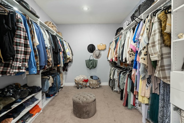 spacious closet with light carpet