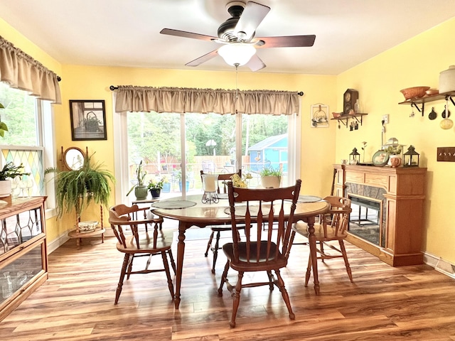 1325 Edward Dr, Moncks Corner, SC 29461 - dining space with a premium fireplace, light wood-type flooring, healthy amount of natural light, and ceiling fan