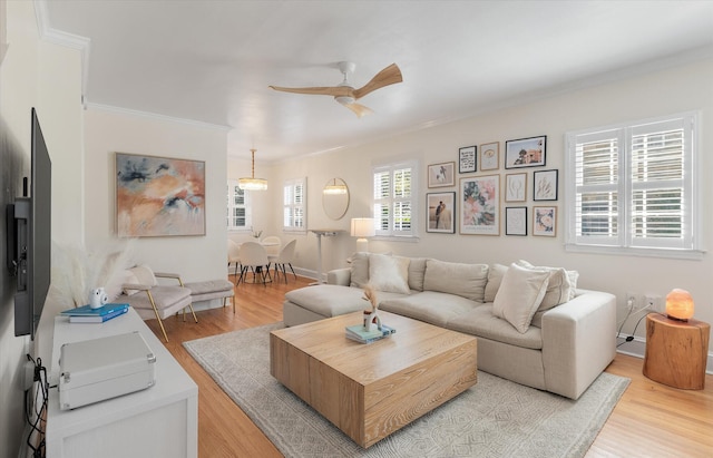 living room featuring ceiling fan, light hardwood / wood-style flooring, and crown molding