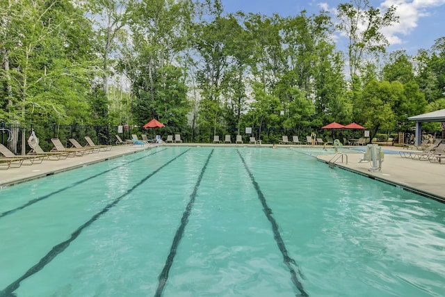 view of swimming pool with a patio