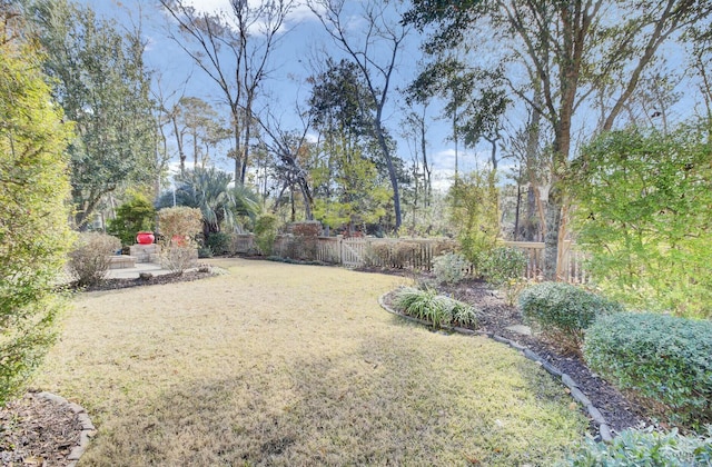 view of yard featuring a patio area