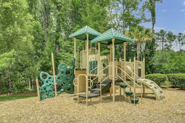 view of jungle gym