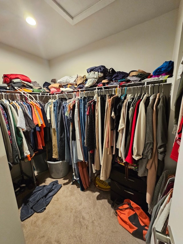 walk in closet with carpet and attic access