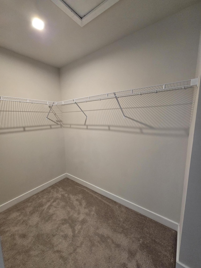 spacious closet with carpet floors