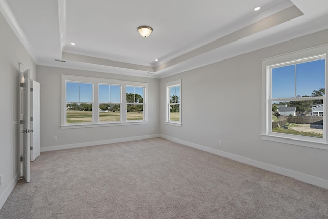 carpeted spare room with crown molding and a tray ceiling