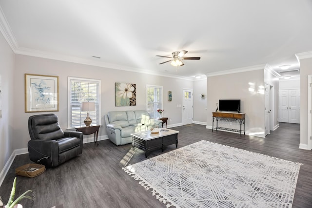 living room with ceiling fan, dark wood-type flooring, and crown molding