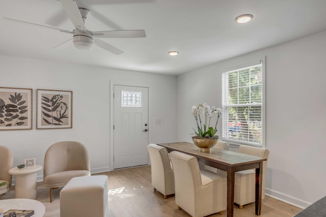 dining area with light hardwood / wood-style floors and ceiling fan