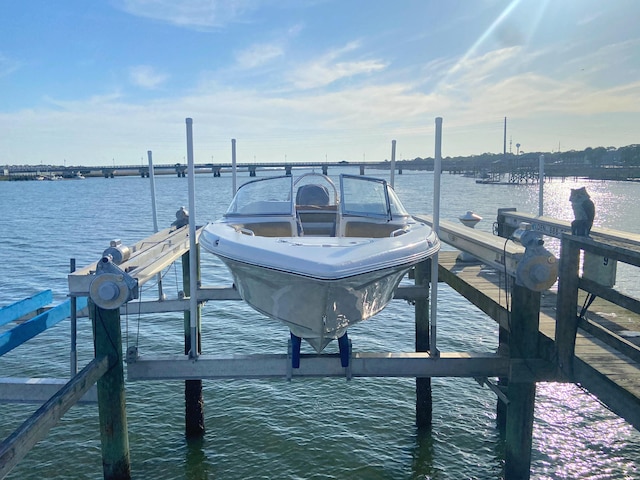 dock area with a water view