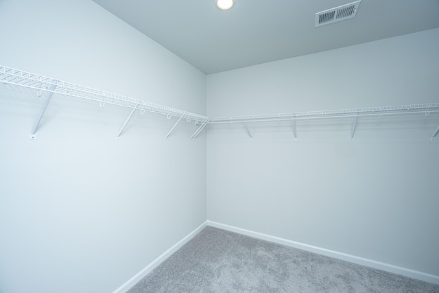 spacious closet featuring carpet flooring