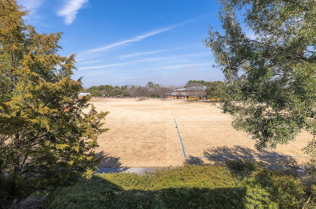 view of yard featuring a rural view