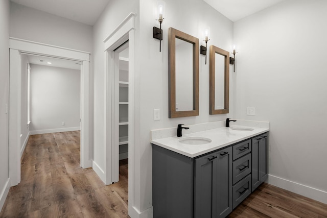 full bathroom featuring a walk in closet, wood finished floors, a sink, and double vanity