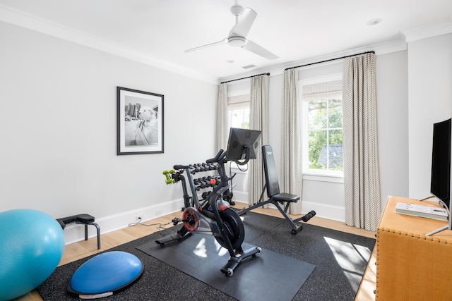 202 Bank St, Mount Pleasant, SC 29464 - workout room featuring crown molding, baseboards, ceiling fan, and wood finished floors