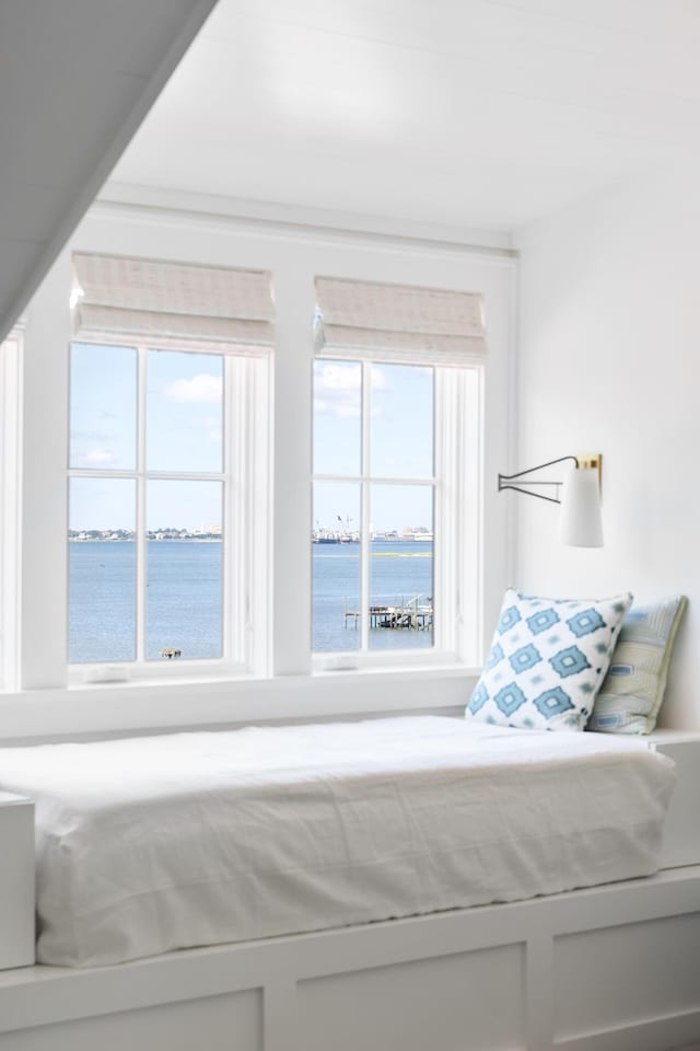 202 Bank St, Mount Pleasant, SC 29464 - bedroom featuring multiple windows and a water view