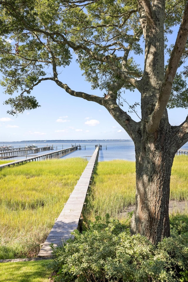 202 Bank St, Mount Pleasant, SC 29464 - view of property's community featuring a water view and a boat dock