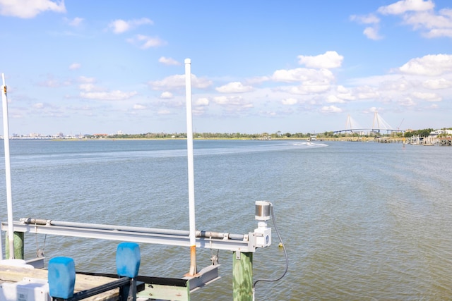 202 Bank St, Mount Pleasant, SC 29464 - dock area with a water view