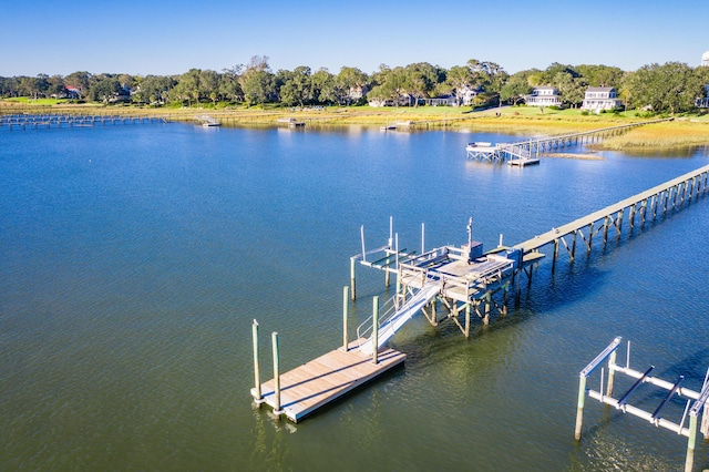 202 Bank St, Mount Pleasant, SC 29464 - dock area with a water view and view of wooded area