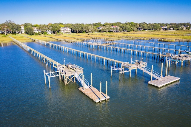 202 Bank St, Mount Pleasant, SC 29464 - dock area with a water view