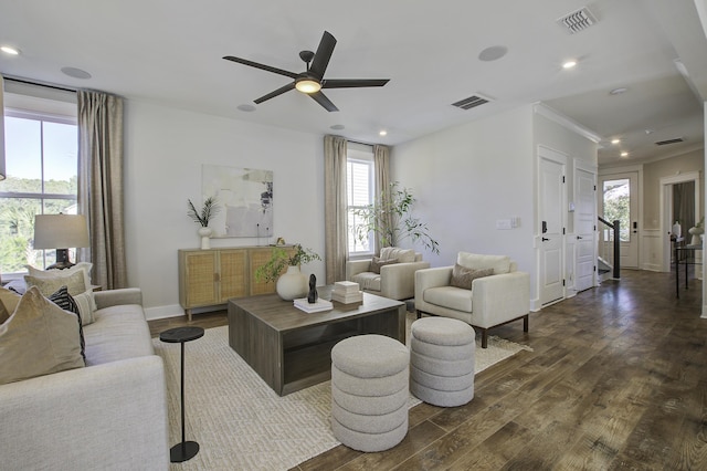 living room with ceiling fan, crown molding, and dark hardwood / wood-style floors