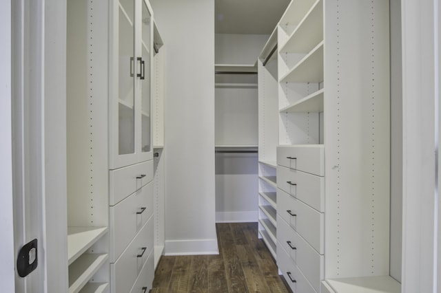 spacious closet with dark wood-type flooring