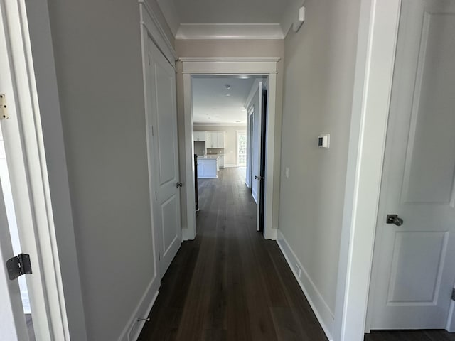 hallway with dark wood-type flooring and ornamental molding