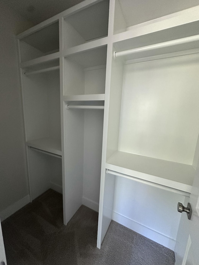 spacious closet with dark carpet