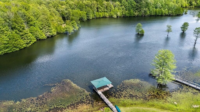 drone / aerial view featuring a water view and a forest view