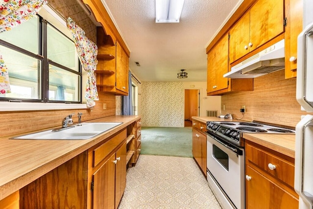 kitchen featuring brown cabinetry, electric range oven, under cabinet range hood, and a sink